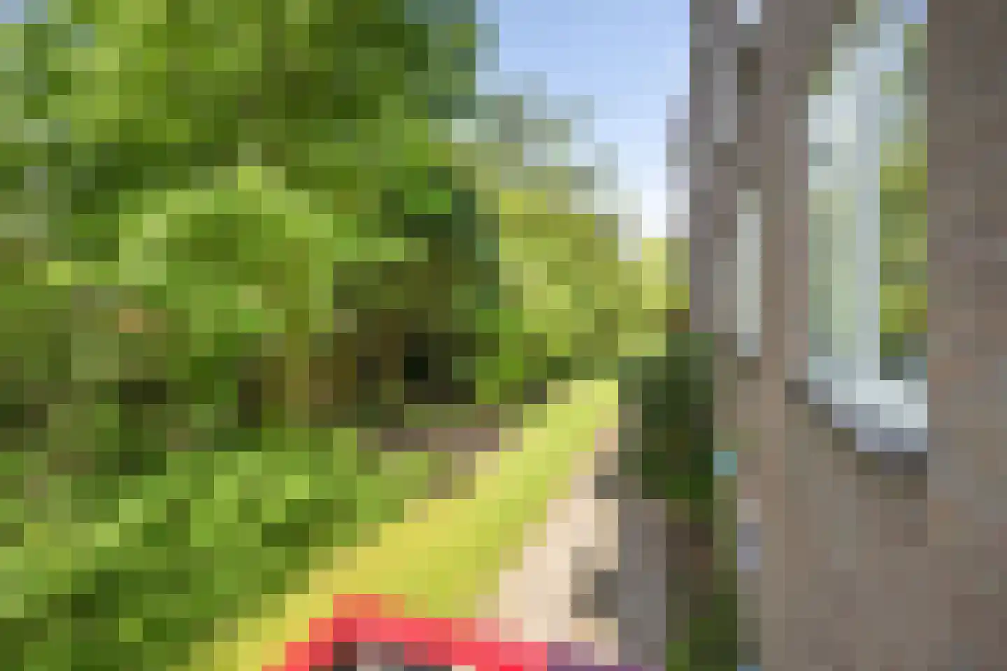 Dompvloedslaan 48 Overveen thumbnail 19