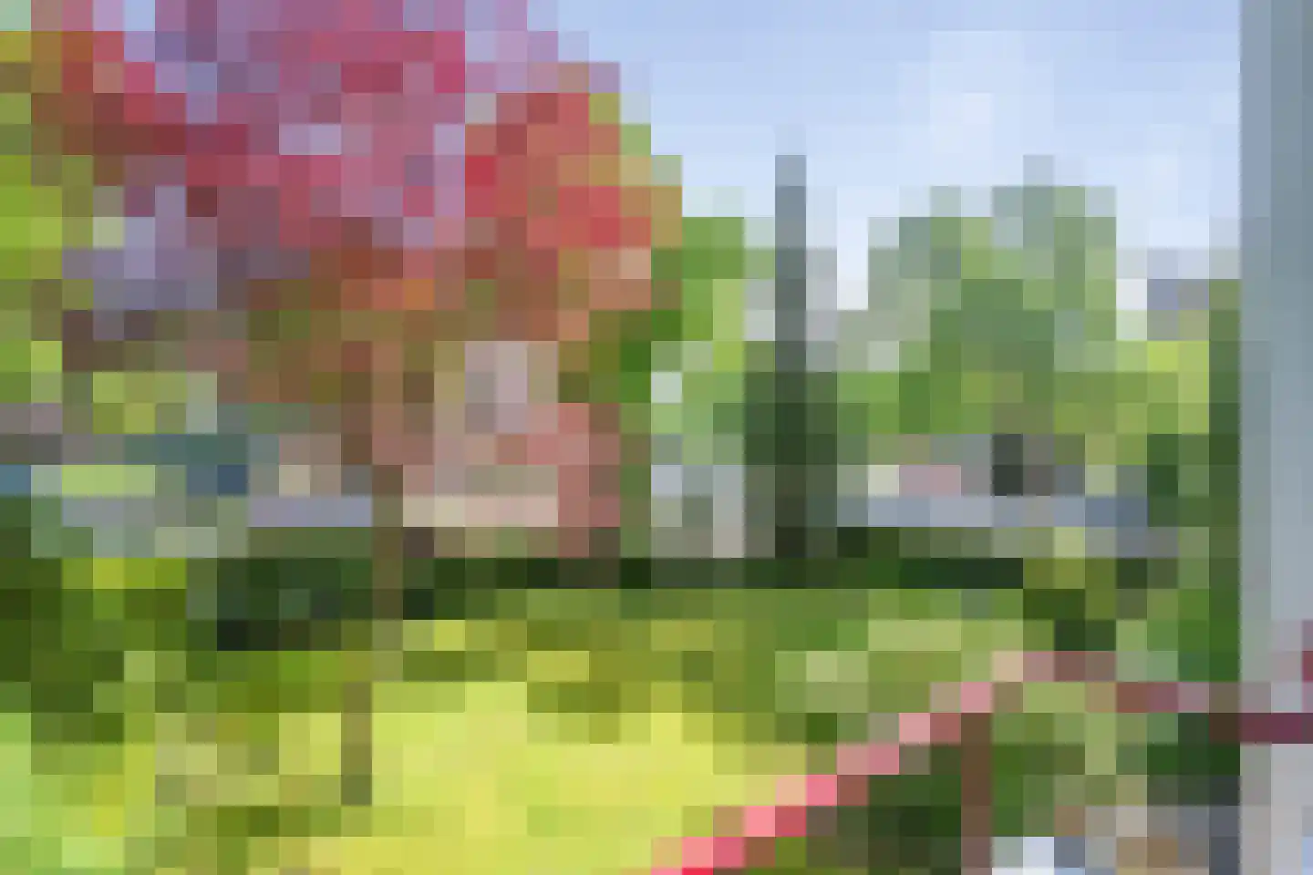 Dompvloedslaan 48 Overveen thumbnail 30