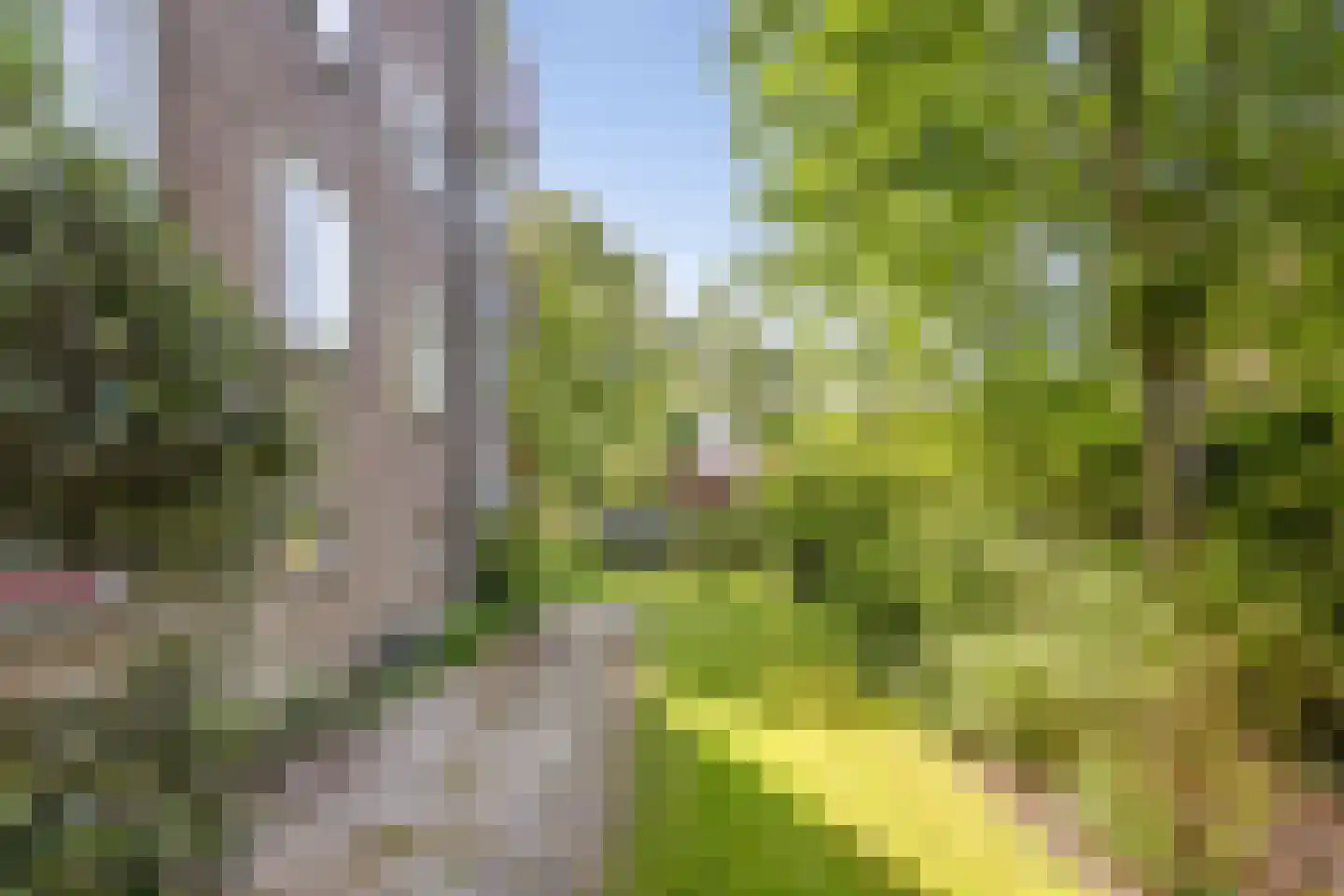 Dompvloedslaan 48 Overveen thumbnail 33