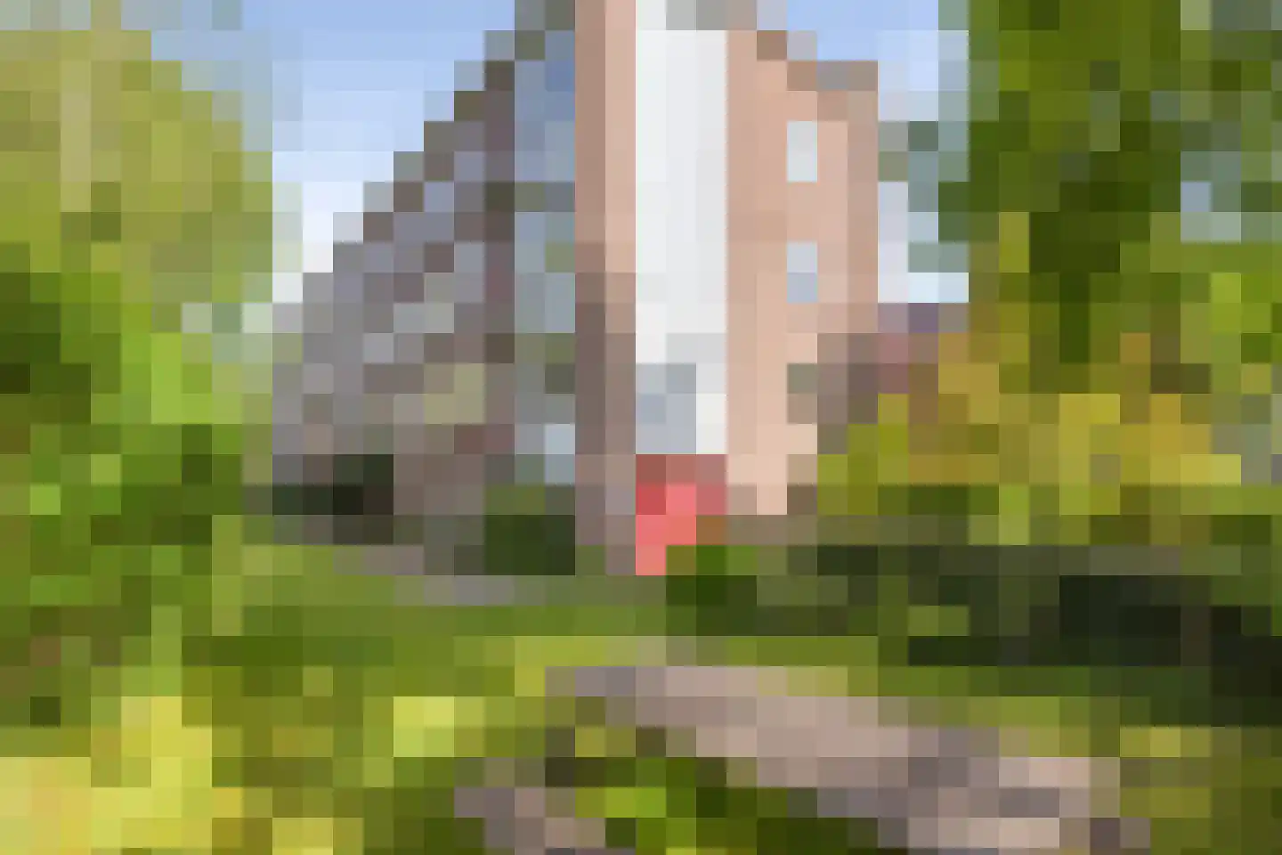 Dompvloedslaan 48 Overveen thumbnail 34