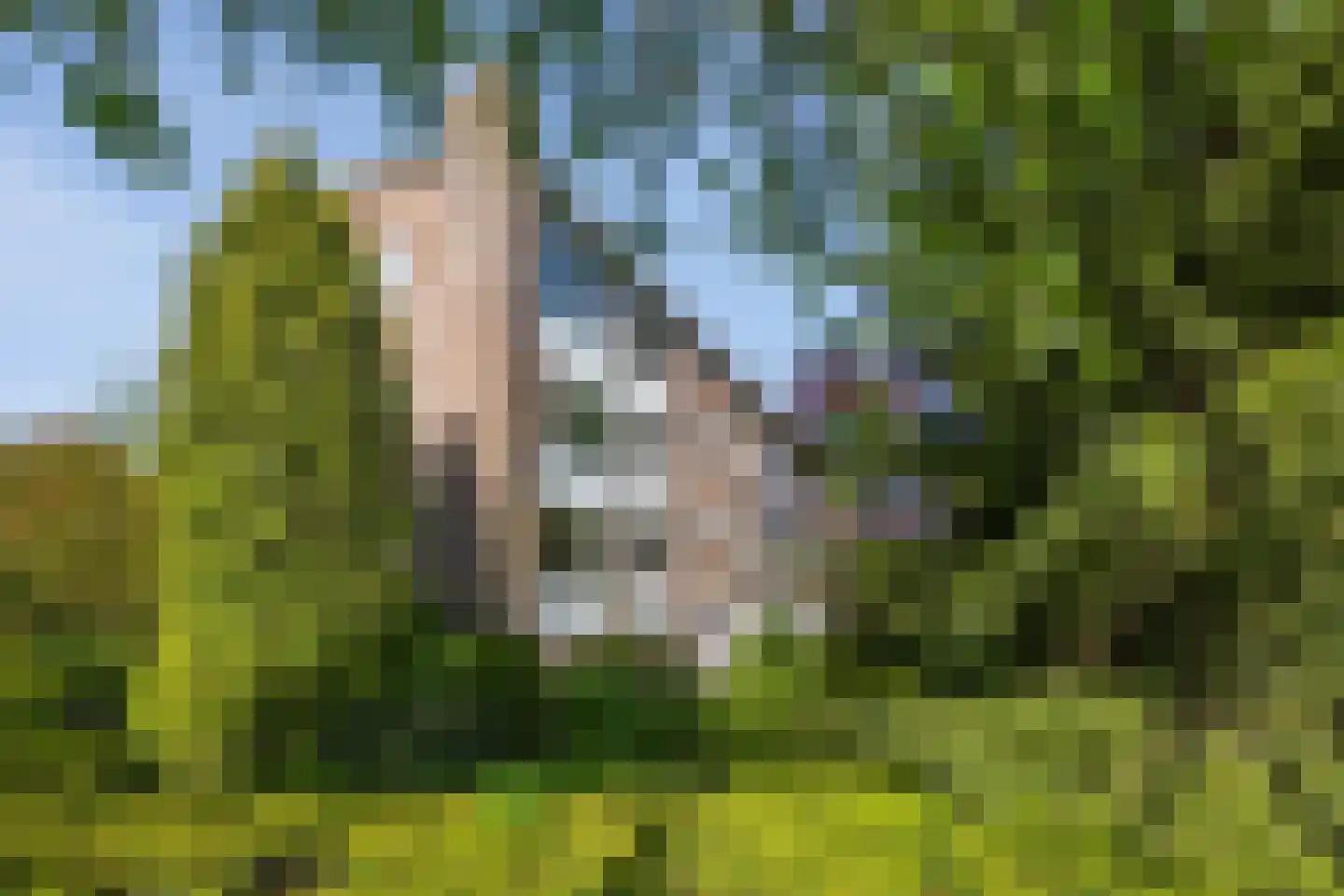 Dompvloedslaan 48 Overveen thumbnail 35