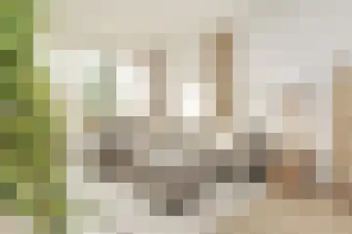 Dompvloedslaan 56 Overveen thumbnail 12