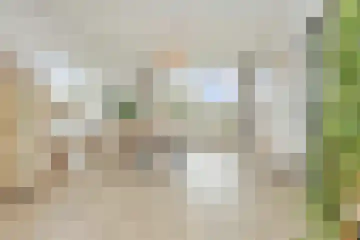 Dompvloedslaan 56 Overveen thumbnail 13