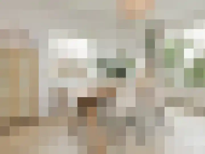 Dompvloedslaan 56 Overveen thumbnail 15