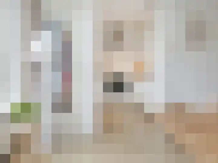 Dompvloedslaan 56 Overveen thumbnail 17
