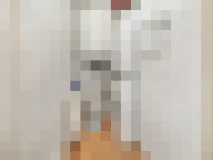 Dompvloedslaan 56 Overveen thumbnail 27