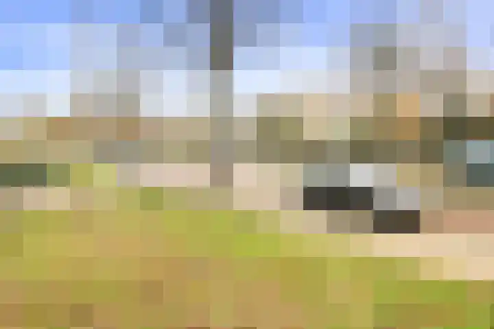 Dompvloedslaan 56 Overveen thumbnail 38