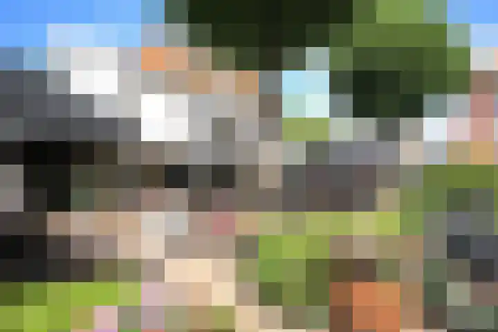 Dompvloedslaan 56 Overveen thumbnail 39