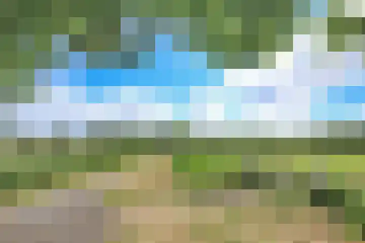 Dompvloedslaan 56 Overveen thumbnail 41