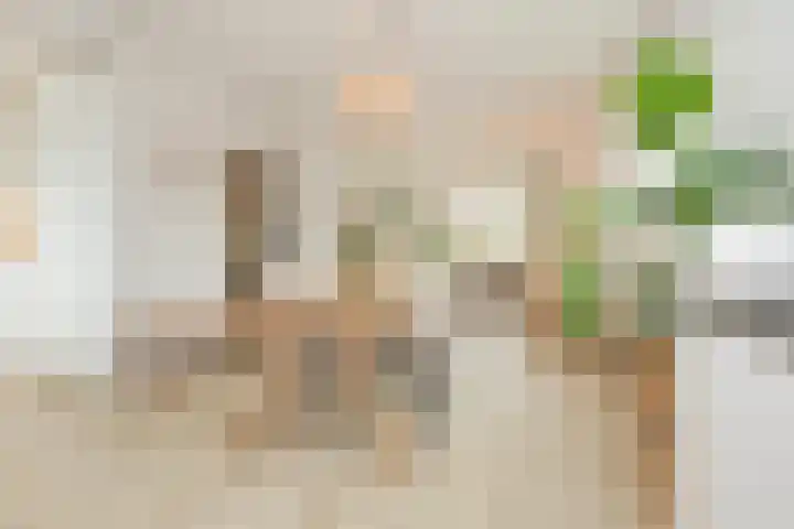 Dompvloedslaan 56 Overveen thumbnail 6