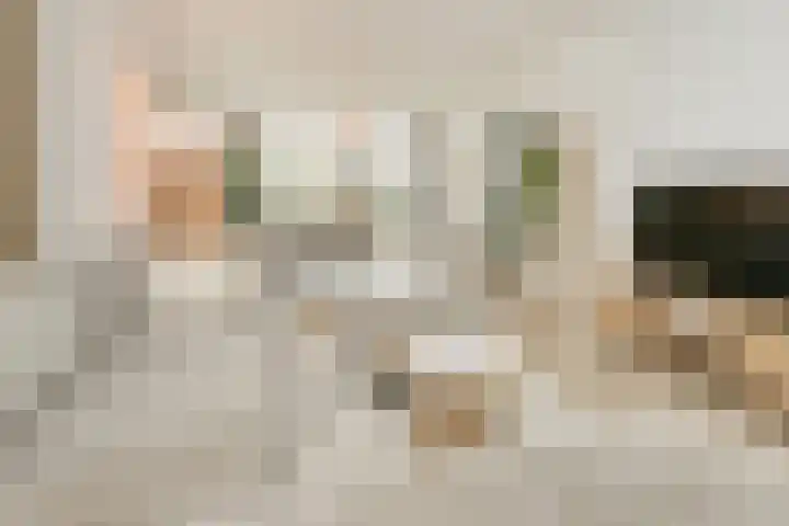 Dompvloedslaan 56 Overveen thumbnail 7