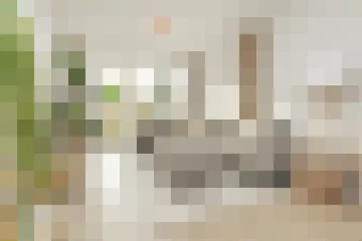 Dompvloedslaan 56 Overveen thumbnail 8