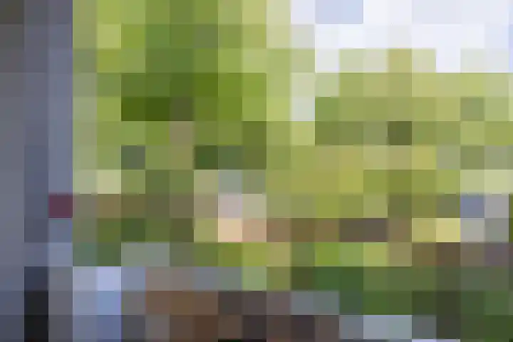 Dompvloedslaan 6 Overveen thumbnail 15