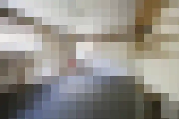 Dompvloedslaan 6 Overveen thumbnail 22