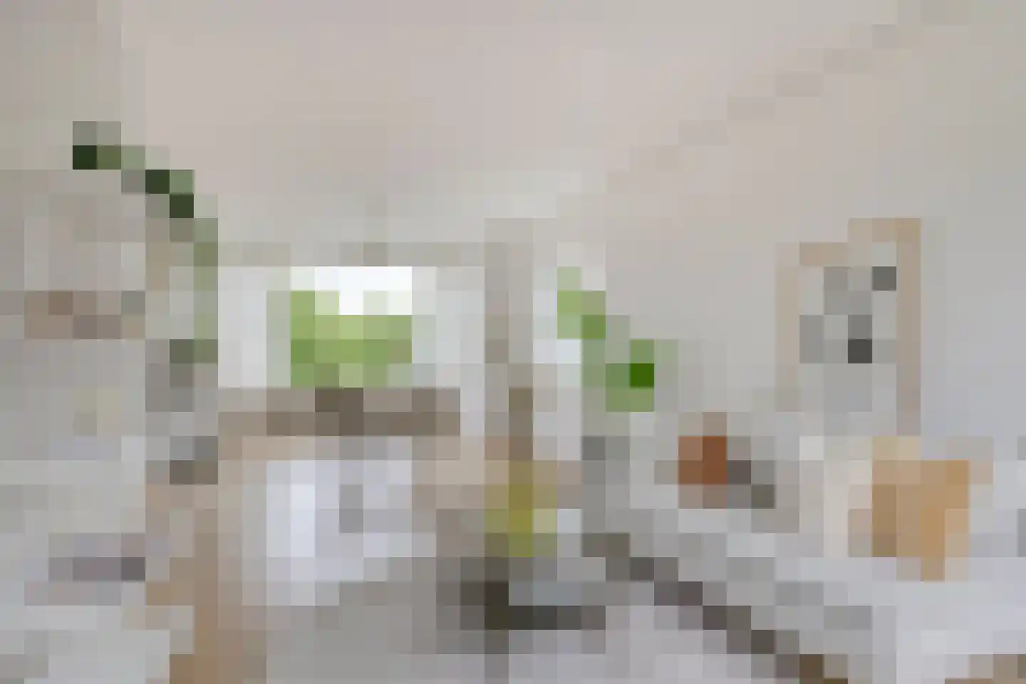 Dompvloedslaan 76 Overveen thumbnail 13