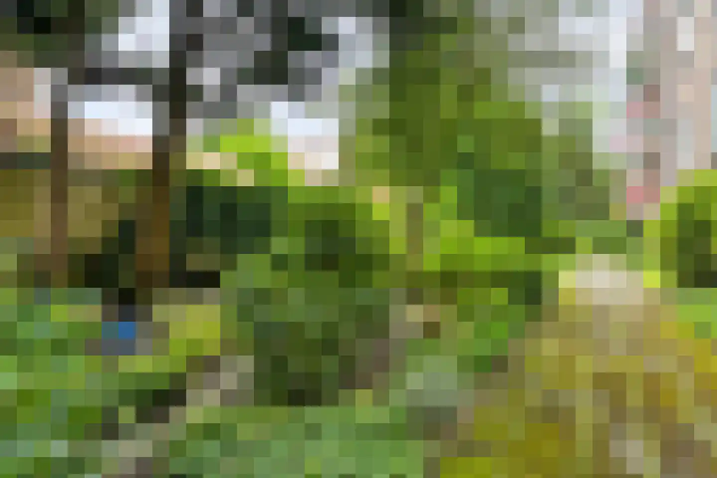 Dompvloedslaan 76 Overveen thumbnail 33