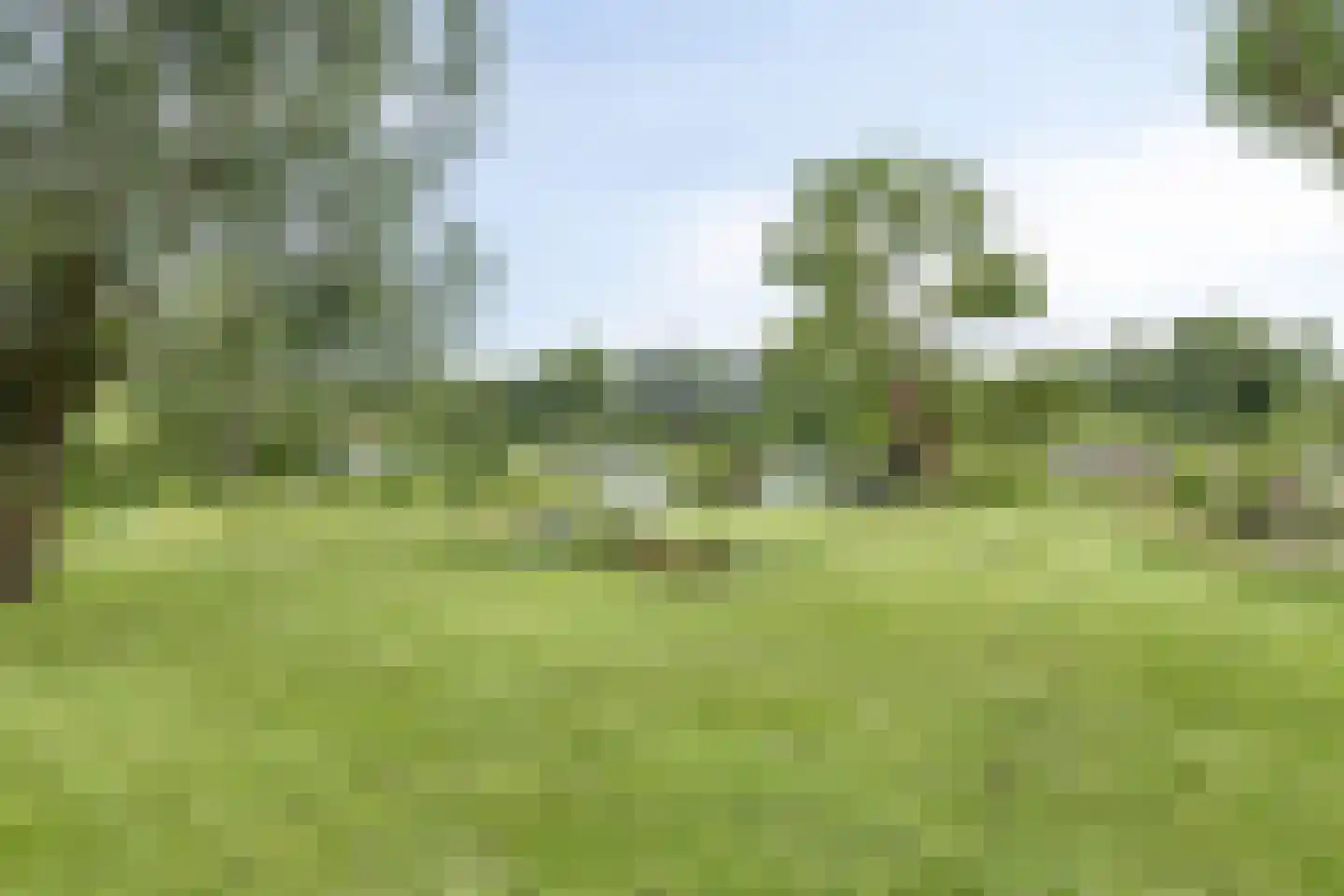 Dompvloedslaan 76 Overveen thumbnail 35