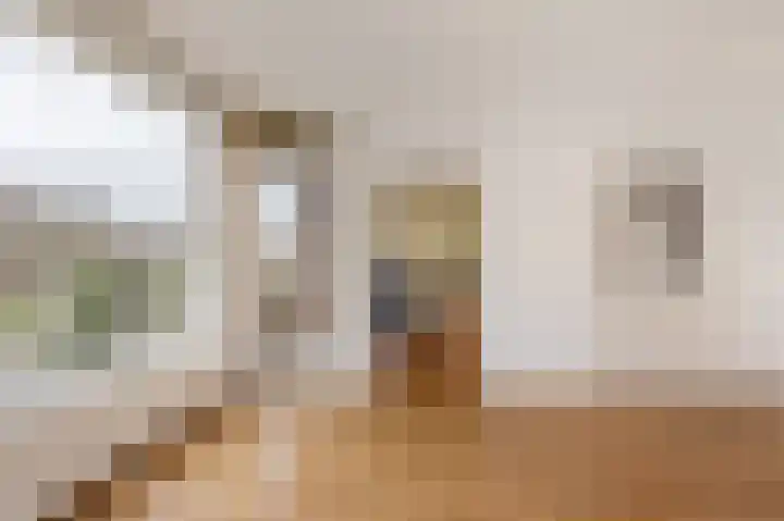 Dompvloedslaan 8 Overveen thumbnail 11