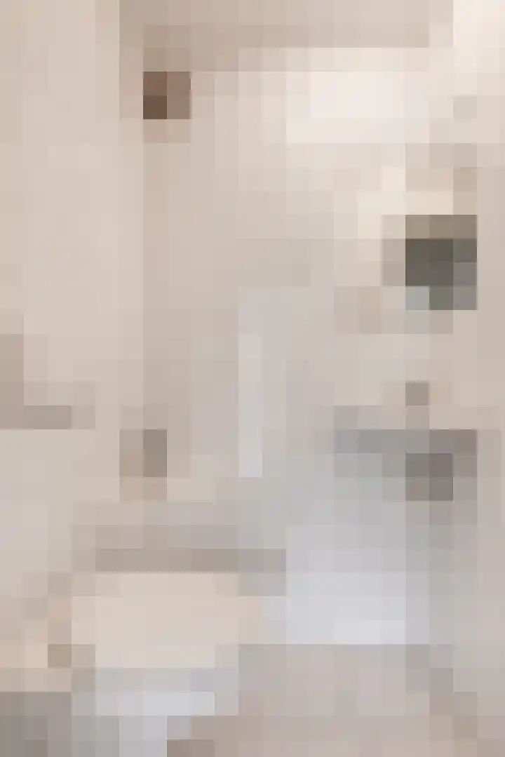 Dompvloedslaan 8 Overveen thumbnail 14
