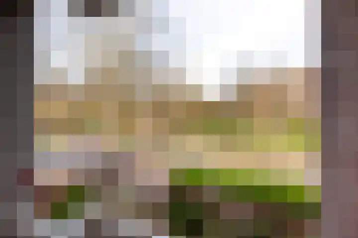 Dompvloedslaan 8 Overveen thumbnail 18