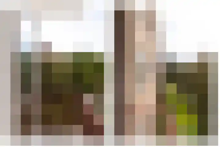 Dompvloedslaan 8 Overveen thumbnail 19