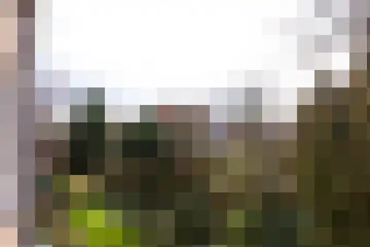 Dompvloedslaan 8 Overveen thumbnail 20