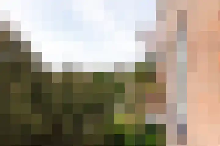 Dompvloedslaan 8 Overveen thumbnail 21
