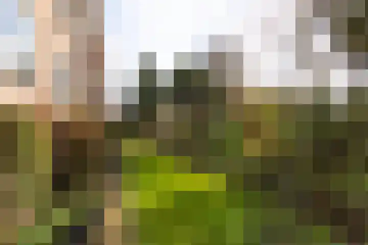 Dompvloedslaan 8 Overveen thumbnail 22