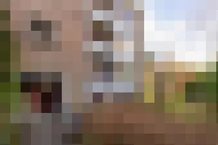 Dompvloedslaan 8 Overveen thumbnail 24