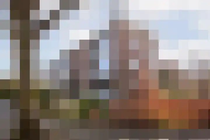 Dompvloedslaan 8 Overveen thumbnail 25