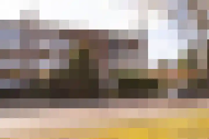 Dompvloedslaan 8 Overveen thumbnail 26
