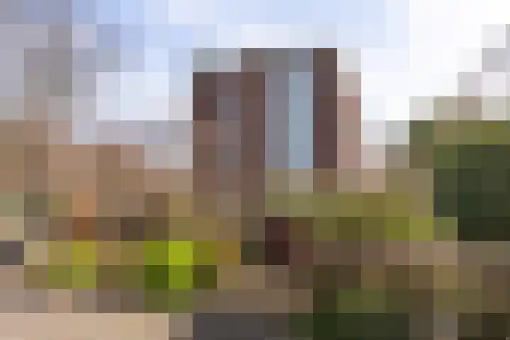 Dompvloedslaan 8 Overveen thumbnail 27