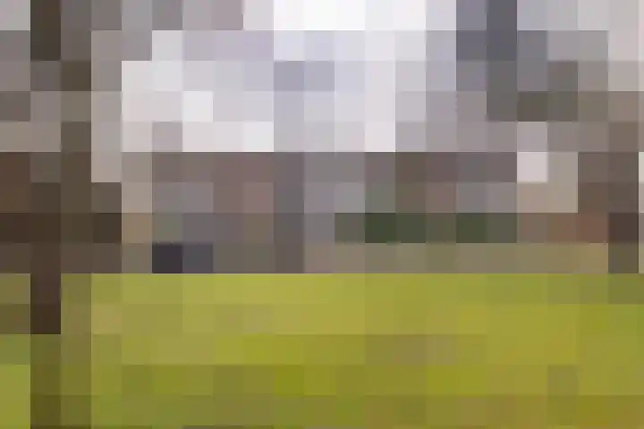 Dompvloedslaan 8 Overveen thumbnail 28