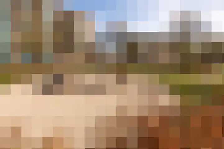 Dompvloedslaan 8 Overveen thumbnail 29