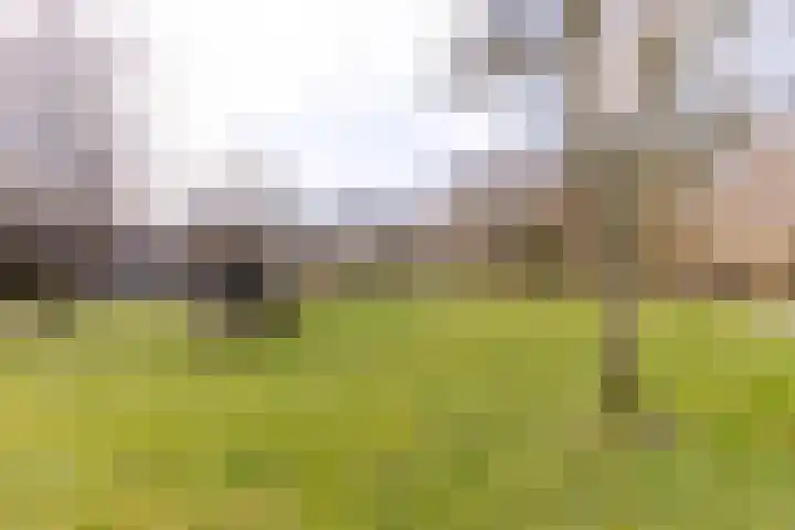 Dompvloedslaan 8 Overveen thumbnail 30