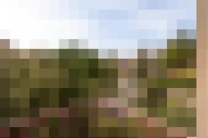 Dompvloedslaan 8 Overveen thumbnail 6