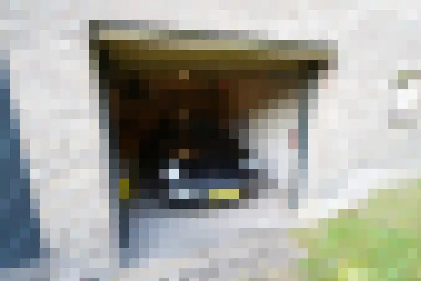 Dompvloedslaan 92 Overveen thumbnail 4