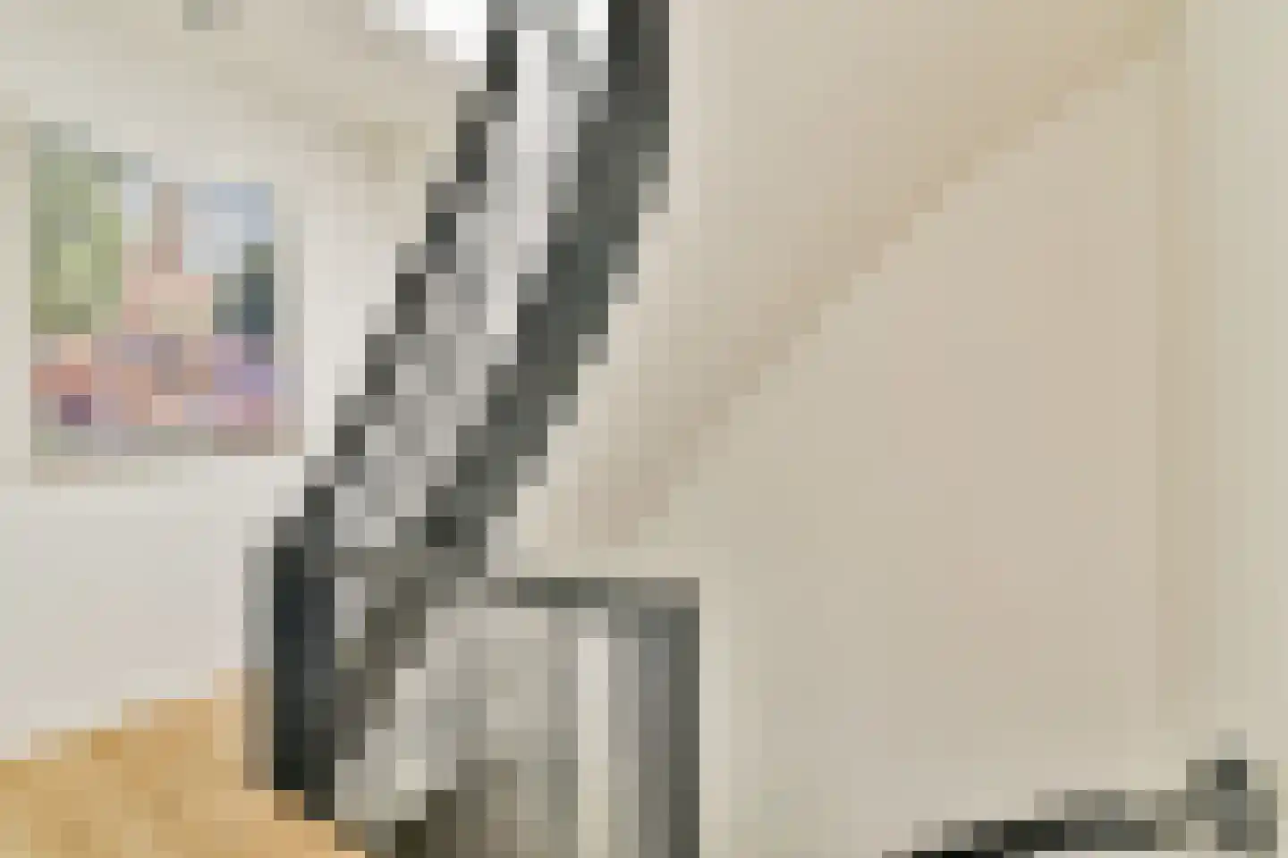 Domselaerstraat 23 H Amsterdam thumbnail 11