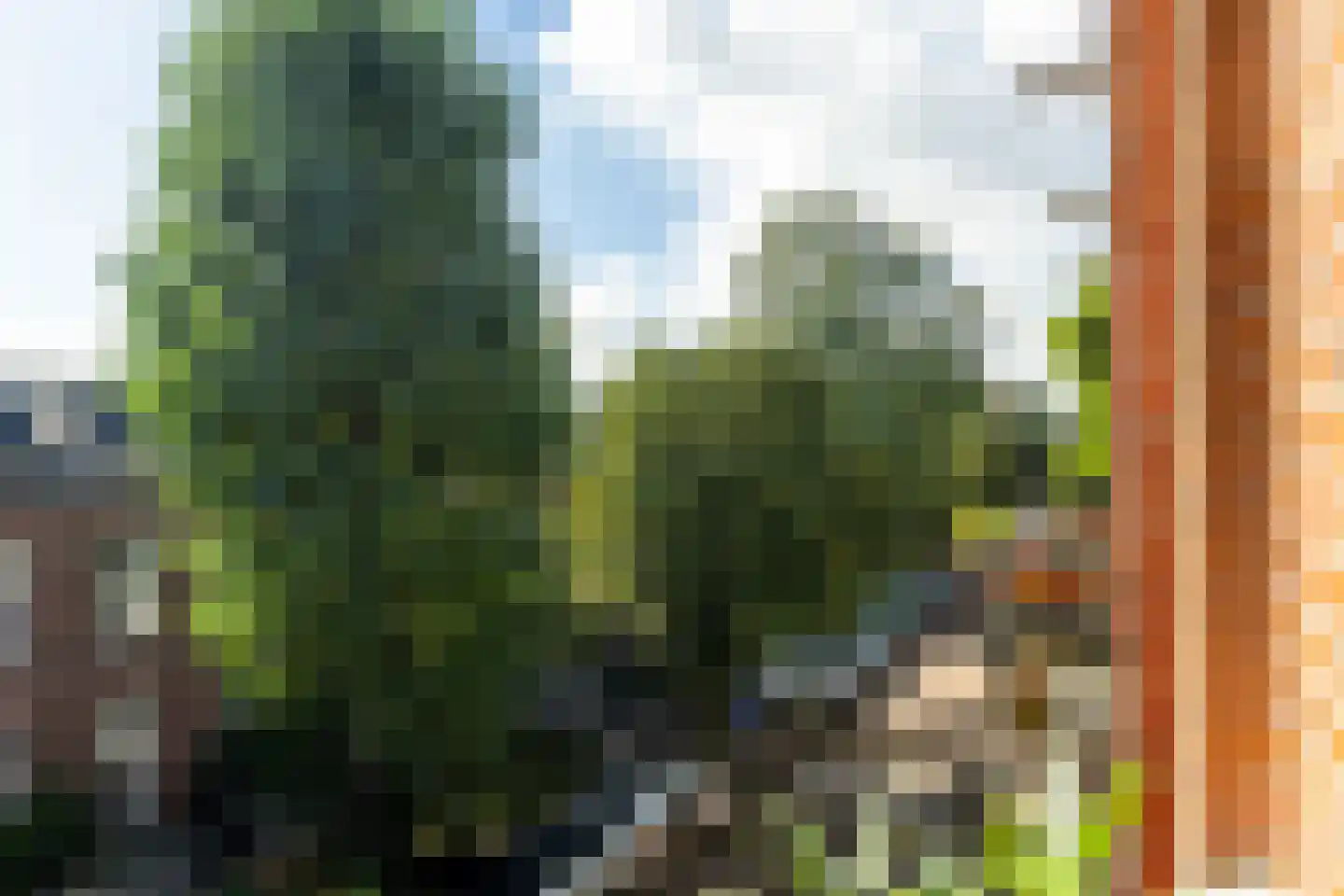 Domselaerstraat 35 3 Amsterdam thumbnail 6