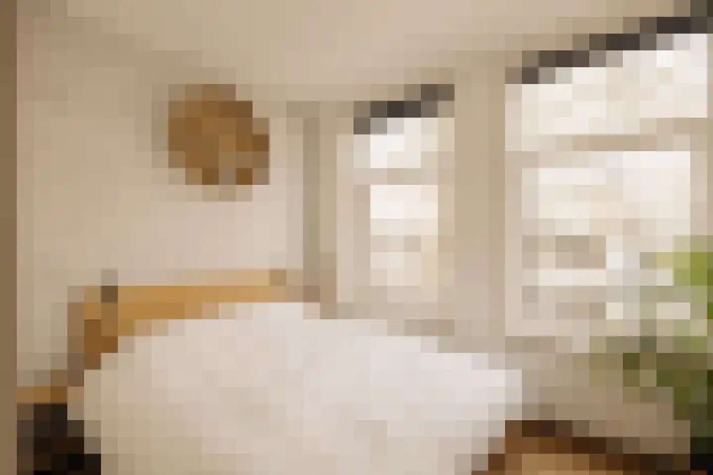 Domselaerstraat 45 2 Amsterdam thumbnail 15