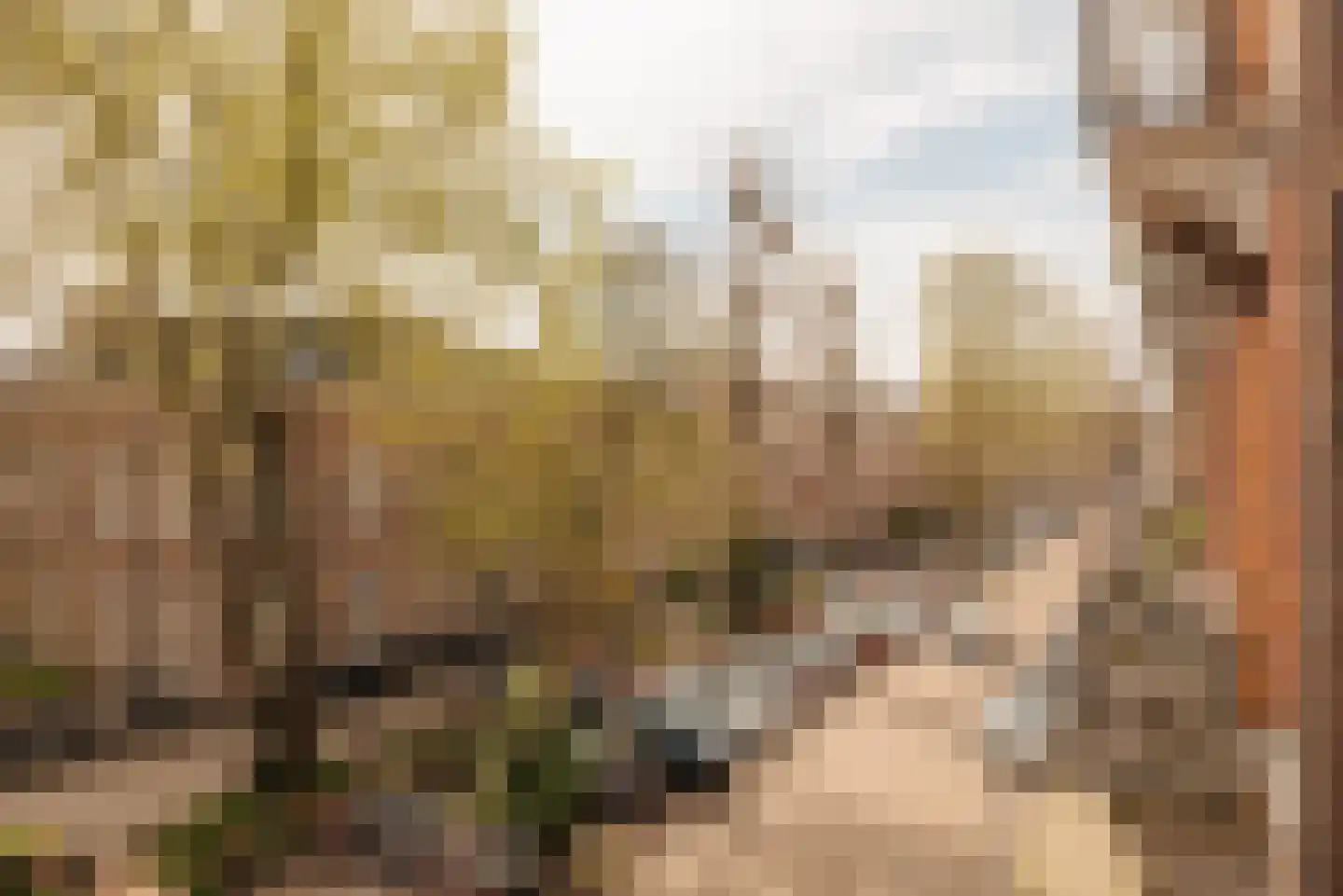 Domselaerstraat 45 H Amsterdam thumbnail 10