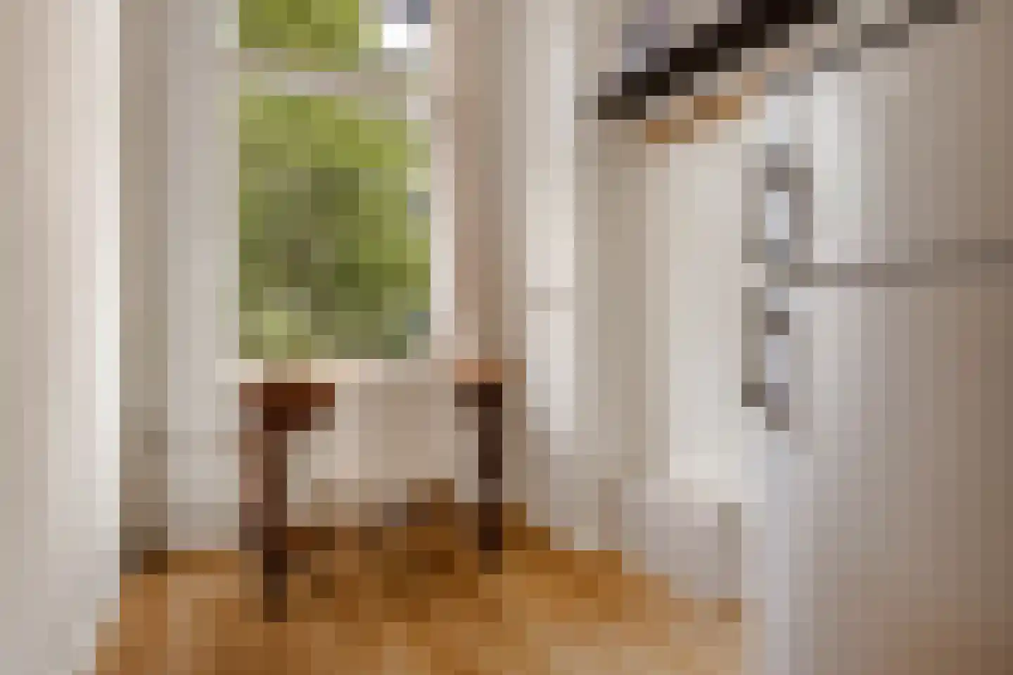 Domselaerstraat 55 1 Amsterdam thumbnail 13