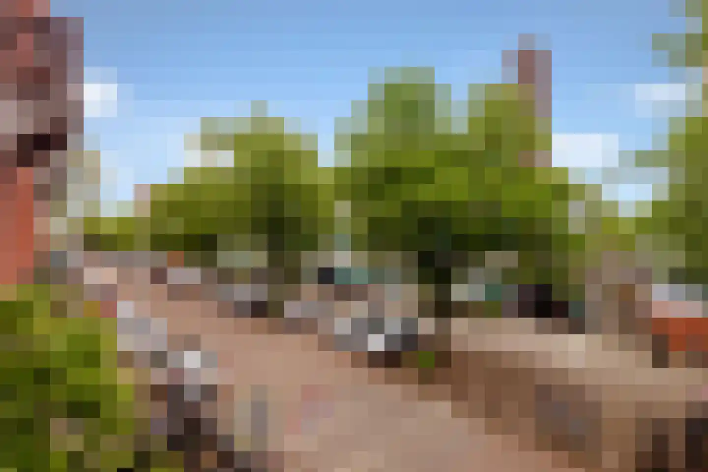 Domselaerstraat 55 1 Amsterdam thumbnail 19