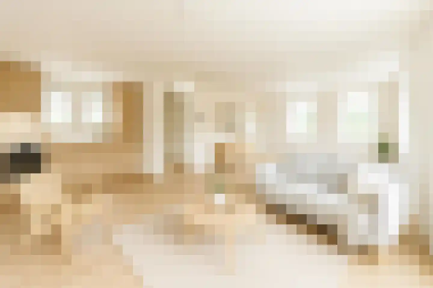 Domstraat 10 Nijkerkerveen thumbnail 5