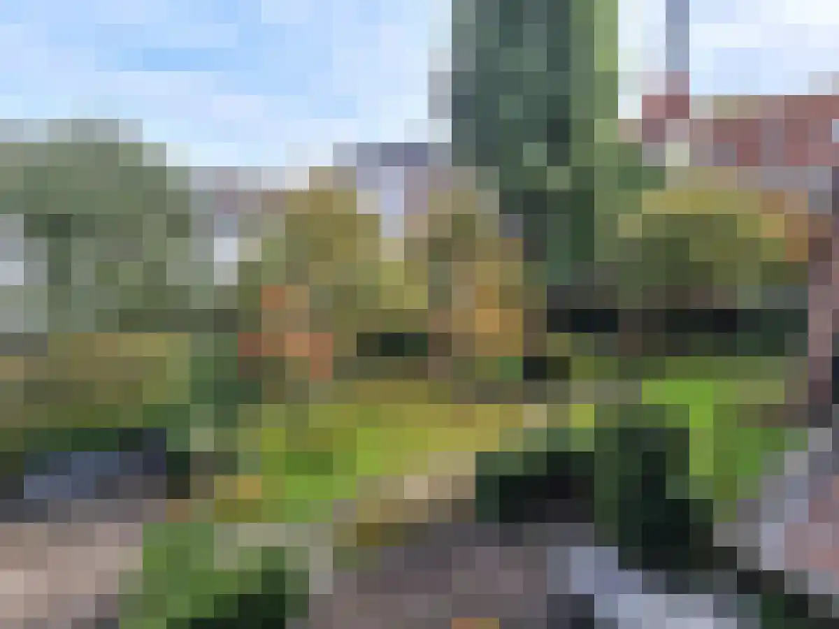 Domstraat 2 Utrecht thumbnail 5