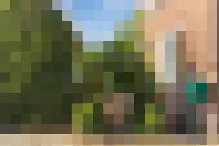 Domstraat 27 Nijkerkerveen thumbnail 6