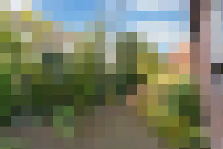 Domstraat 27 Nijkerkerveen thumbnail 8