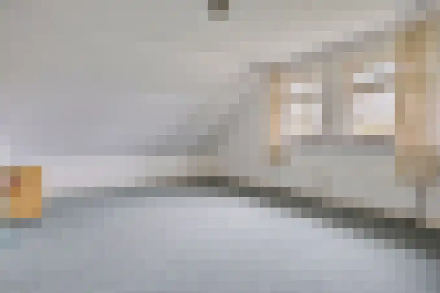 Domstraat 56 Nijkerkerveen thumbnail 32