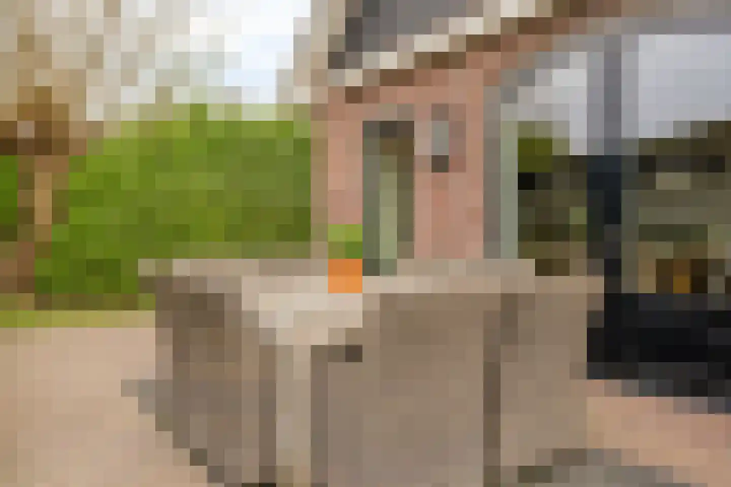 Domstraat 56 Nijkerkerveen thumbnail 36