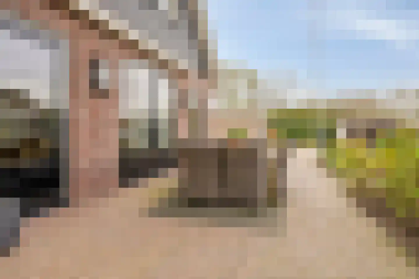 Domstraat 56 Nijkerkerveen thumbnail 37